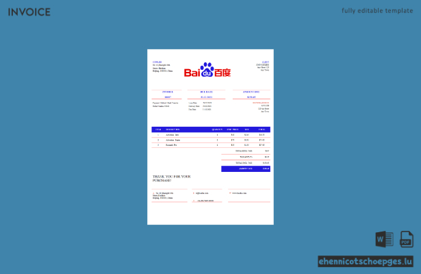 USA Baidu Rechnungsbeispiel-Vorschau